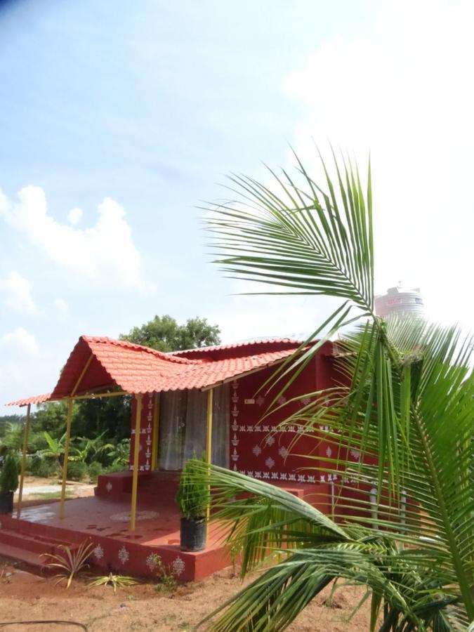 Mangohut Farmhouse Pool Villa Hajdarabad Zewnętrze zdjęcie